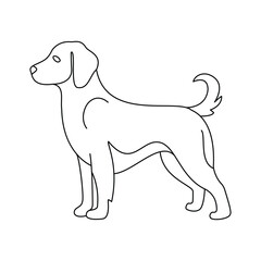 Dog Line Art Design The Graceful Canine