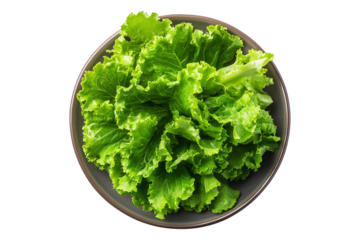 Fresh green lettuce leaves with water droplets on plate isolated on a white background. Concept of healthy eating, freshness, and organic food