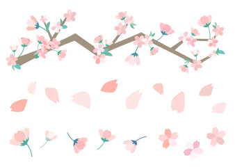 春の桜のイラスト(背景素材 さくら 花 満開 新生活　お祝い シンプル 花びら 満開 葉桜 4月 編集可能)