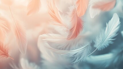 Obraz premium Ethereal Dance of Feathers: A Pastel Dream