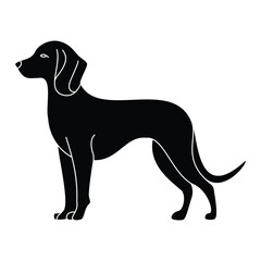Elegant Canine Form Dog Silhouette Design