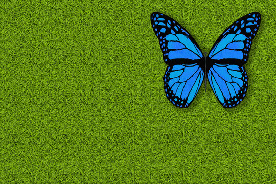 Illustrazione 3D. Primavera, estate. Farfalla su prato verde texture. Sfondo campo di erba con farfalla che vola.