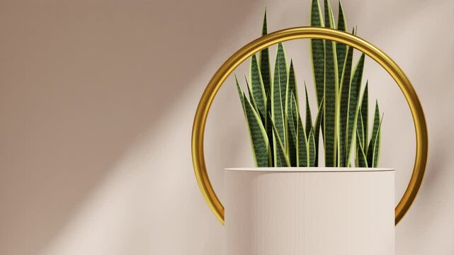 template mockup cylinder podium of with seamless loop shadow animation green snake plant and gold ring background, 3d footage render