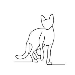 Hand-Drawn Line Art of a Cat
