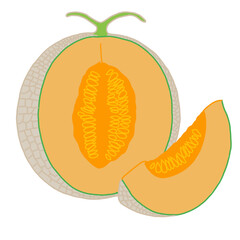 Illustration of a cantaloupe melon with a cross section showing the seeds and one separated slice