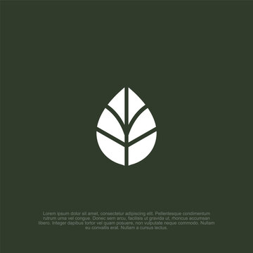 Minimalist design showcasing a pristine white leaf icon against a serene, muted green backdrop, evoking themes of environmental awareness, sustainable living, and organic purity