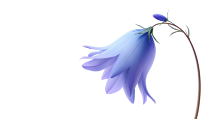 isolated transparent Background. single bluebell flower with curved stem, showcasing delicate petals and soft gradients