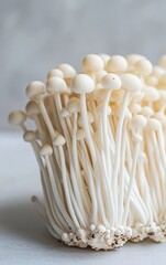 Close-up photo of white enoki mushrooms on a light grey background, macro photography, stock shot, stock photo.