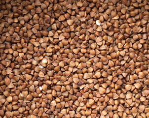 Natural looking buckwheat. Food texture.