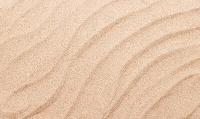 A tropical summer background featuring soft beach sand with delicate palm leaf shadows