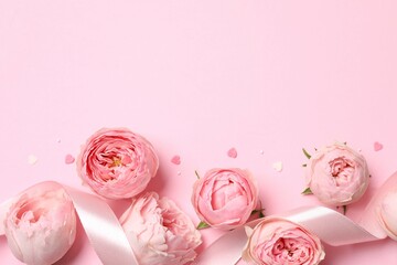 Beautiful pink peony roses with silk ribbon on a colored background