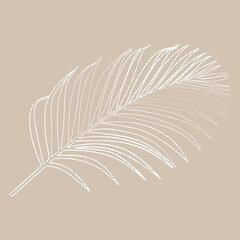 Outline Drawing of an Areca Palm Leaf Showcasing Intricate Leaf Pattern and Elegant Design Details