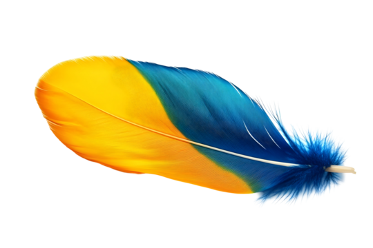 Isolated Colorful Feather Illustration In Blue And Yellow Colors Design - Powered by Adobe