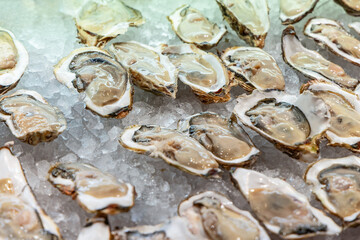 Display of raw oysters on the half shell is arranged on ice at a Tokyo seafood market keeping them chilled and fresh while highlighting their plump texture and natural juices