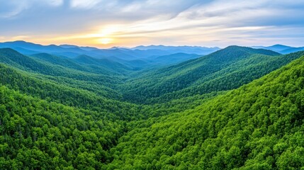 Obraz premium Lush Green Mountain Valley Under a Beautiful Sunset Sky