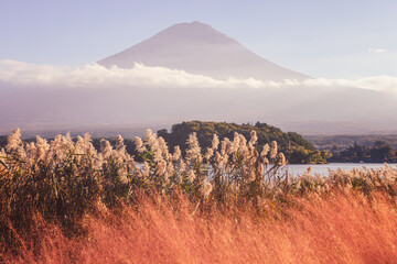 Nostalgic film effect photo of Mount Fuji at Lake Kawaguchi Japan with soft tones, golden reeds, kochia bushes and misty clouds creating a dreamy autumn atmosphere