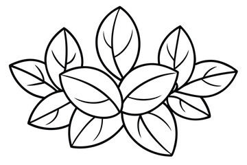 Jade Plant Leaf Line Art Detailed Sketch for Nature Printing 