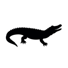 Naklejka premium crocodile isolated on white background