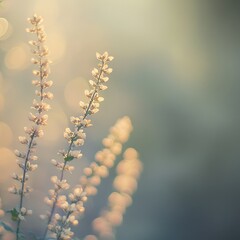 Delicate stems of flowers bloom softly against a blurry background
