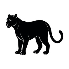 Obraz premium Adobe Illustrator Artwork