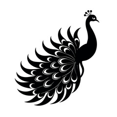 Naklejka premium peacock feather vector illustration