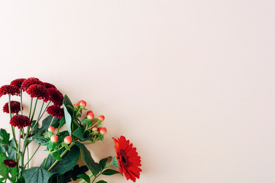 Red and dark burgundy flowers with green leaves on light background, floral composition with copy space. Top view, flat lay