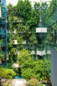 Modern eco-friendly shopping mall building with vertical garden and green plants reflecting in glass facade in urban environment in Bangkok city, Thailand. Green architecture and sustainable design