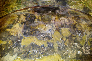 Qusayr Amra, Jordan frescoes of desert castle