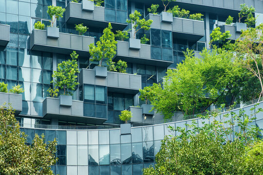 Building facade with green plants growth on the wall. Vertical garden in Bangkok city. Eco friendly urban environment. Sustainable modern and ecological architecture.Sustainable glass office building