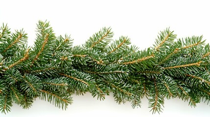 Frosted Fir Branches: A Christmas Border of Snowy Evergreens. Perfect for festive winter designs, cards, and holiday decorations.