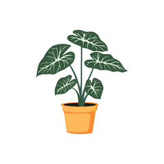 Tropical Plant Illustration in Orange Pot. Vector illustration of a tropical plant in an orange pot on a white background. Featuring large green leaves with white veins, ideal for botanical themes