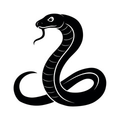 Fototapeta premium black and white snake