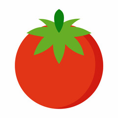 Tomato icon on white background