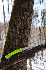 A green folding knife rests on a snowy branch, harmonizing natures beauty with the excitement of...