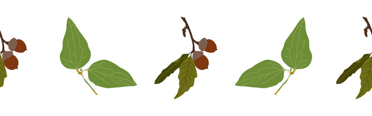 Border leaves and nuts on a white background. Hand-drawn illustration. Perfect for spring and summer.