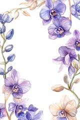 Watercolor painting of delicate orchids arranged against a white background