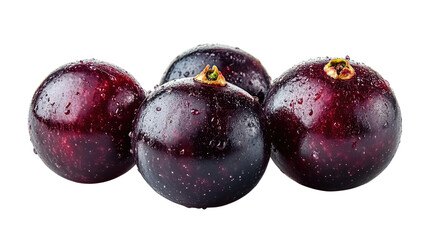 Obraz premium You've reached our limit of messages per hour Please try again later