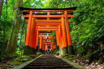 Red thousand of traditional gates or torii in Fushimi Inari Taisha with  Fushimi Ward, Kyoto, Japan