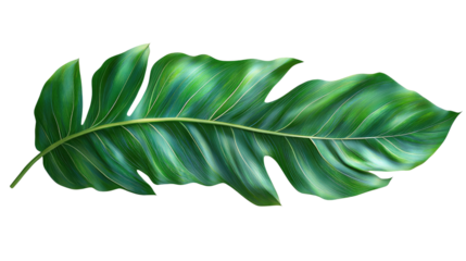 You've reached our limit of messages per hour Please try again later