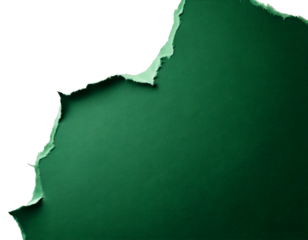 Torn dark green paper sheet isolated on white background, with studio lighting highlighting its texture and edges. Ideal for use in design projects, backgrounds, or creative artwork.
