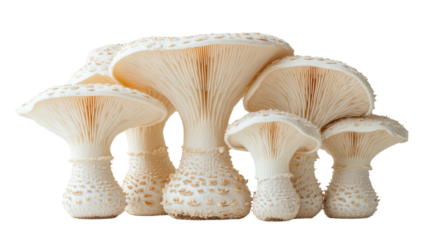 You've reached our limit of messages per hour Please try again later