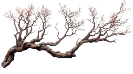 You've reached our limit of messages per hour Please try again later