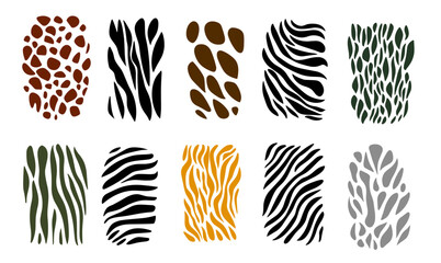 Safari and African animals skin and fur texture. Vector design elements.