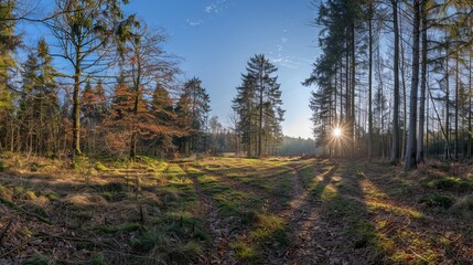 Fototapeta premium Volcanic mountain at sunrise reflected in tranquil lake with clear sky and soft morning light