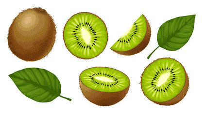 Kiwi. Set of kiwis isolated on white background. Whole kiwi with leaves, cut in half and into slices.