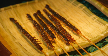 Chengdu, Sichuan, China. Fried Centipede Skewers. Cooked Insects Thread On Skewers. Popular Snacks In Southeast Asia. New Source Of Protein , Lipids, Minerals, And Vitamins. Modern Food Concept. Fried