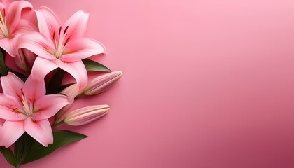 Fototapeta premium pink lilies on a pastel pink backdrop with copy space.