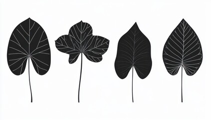 Fototapeta premium Set of vector black tropical leaf silhouettes on a white background. A clean and simple flat design, perfect for nature and botanical-themed designs.