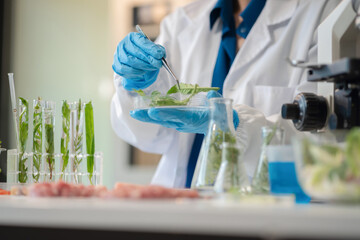 Nutrition Specialists and medicine, Molecular Analysis in Food Science Labs of chemical residues.