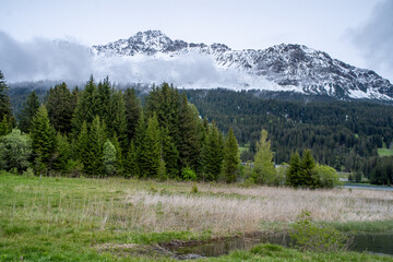 Fototapeta premium Beautiful fog in mountains